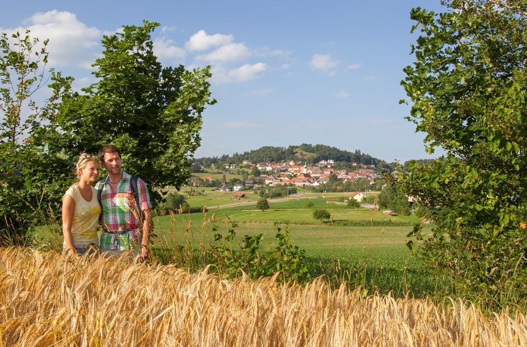 Zum Schwarzen Baeren Vohenstrauss Exterior foto